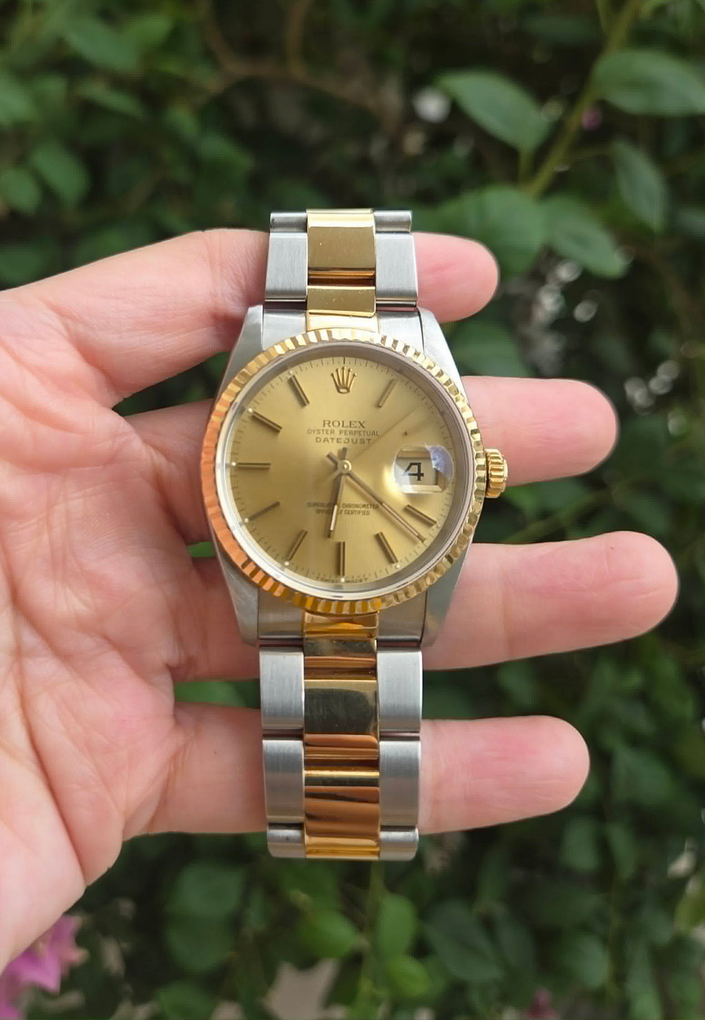Rolex Datejust 36mm Gold dial and Bracelet