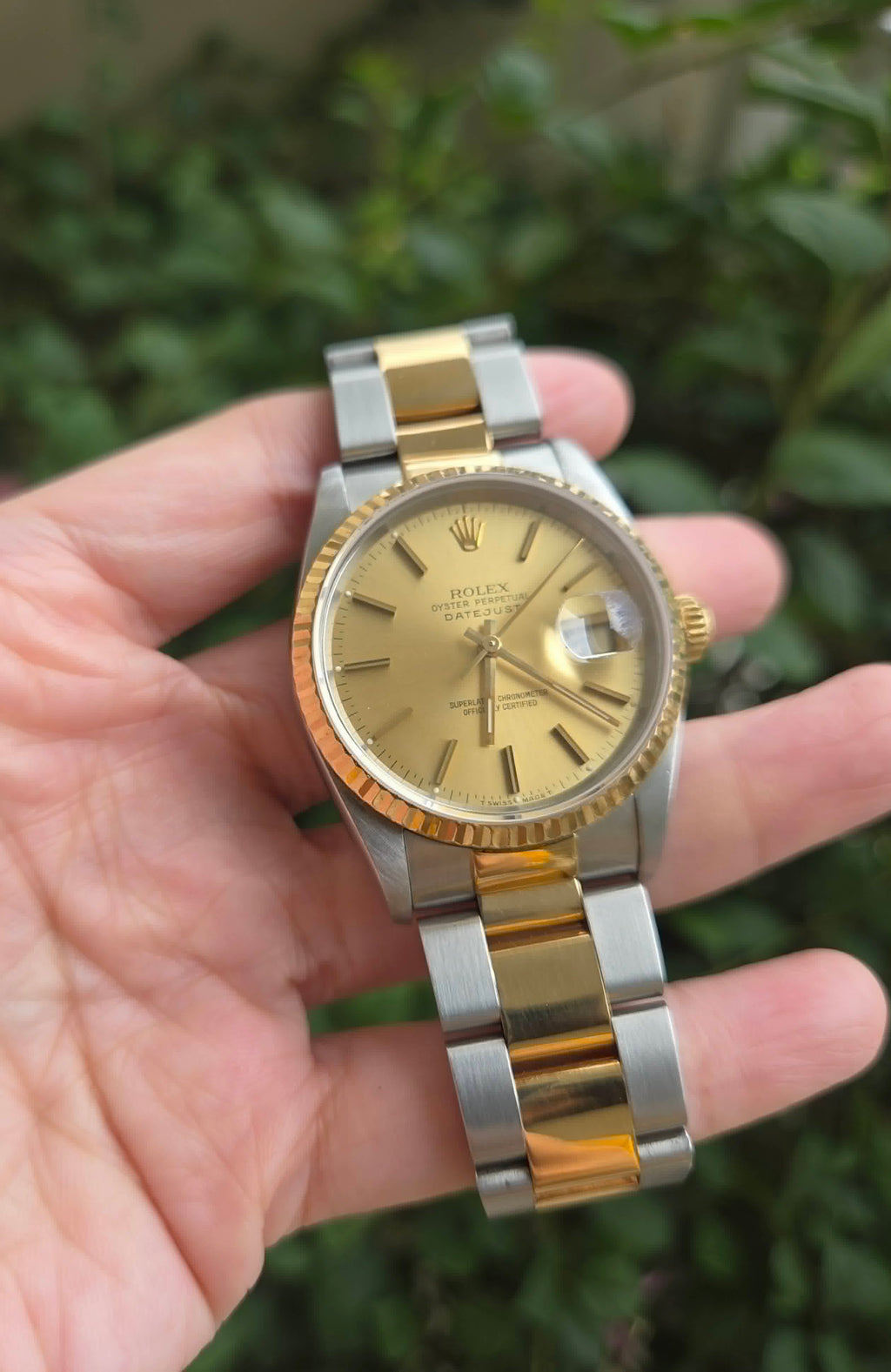 Rolex Datejust 36mm Gold dial and Bracelet