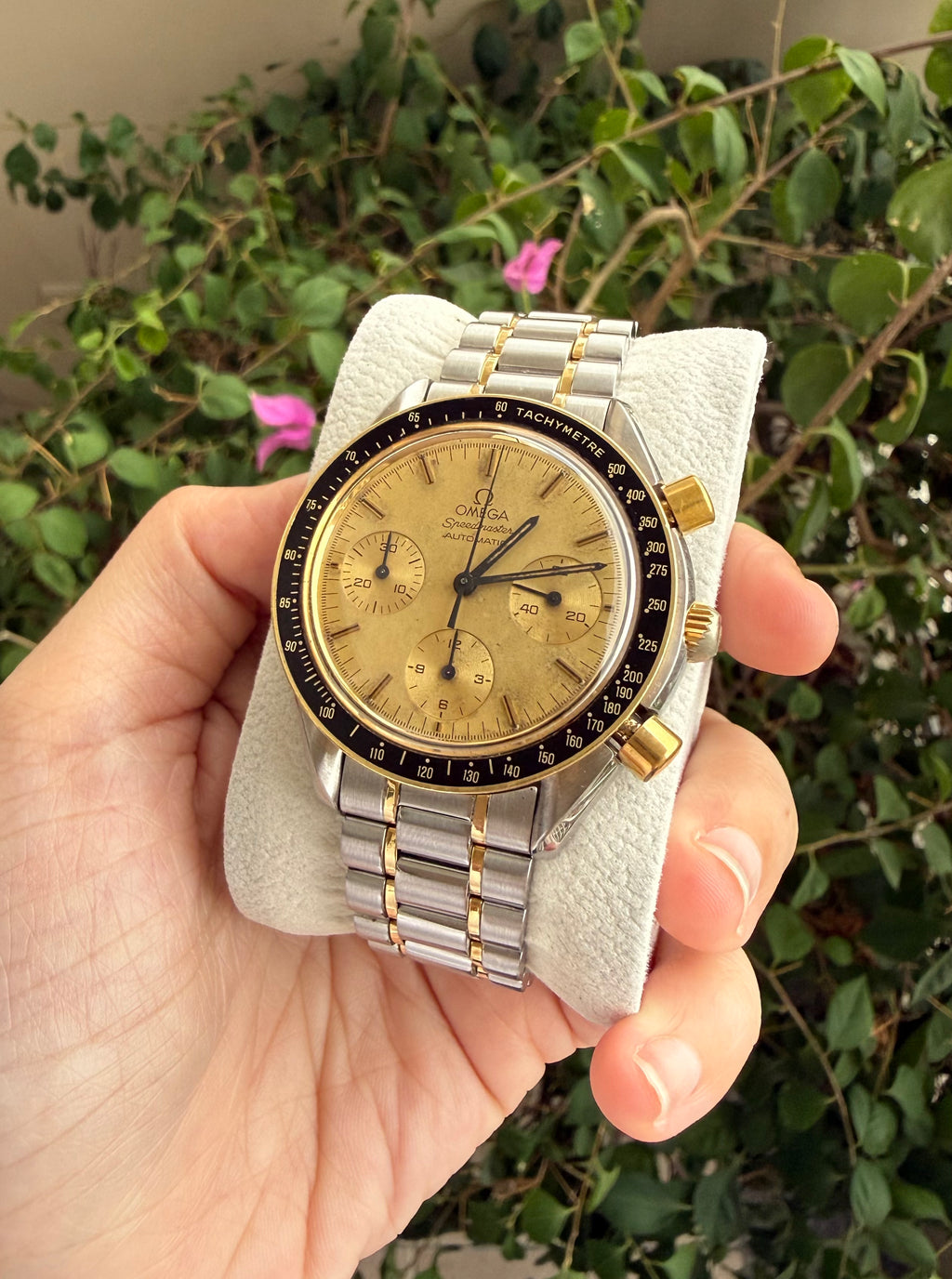 Omega Speedmaster Reduced 39mm 18K Champagne Dial Ref 3310.10