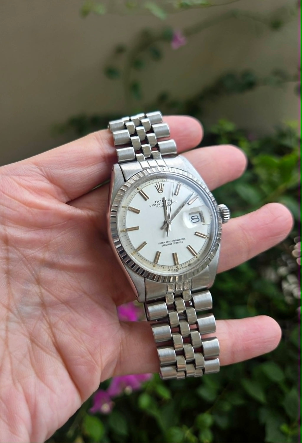 Rolex Datejust 36mm Silver and Sigma Dial Ref 1603