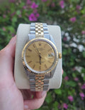Rolex Datejust 36mm Two tone Rare Pie Pan Gold Dial Ref 1601