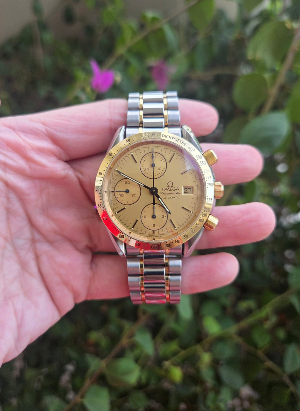 Omega Speedmaster 18K Gold Reduced 39mm Champagne Dial