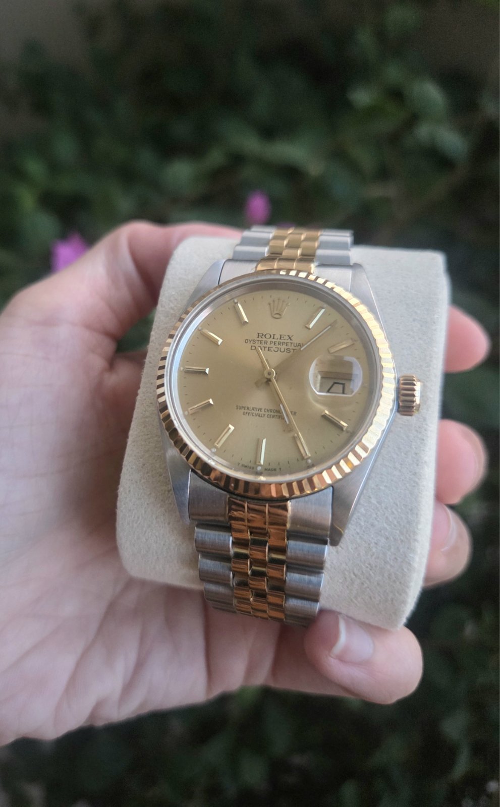 Rolex Datejust 36mm Champagne Gold Stick Dial Ref 16013