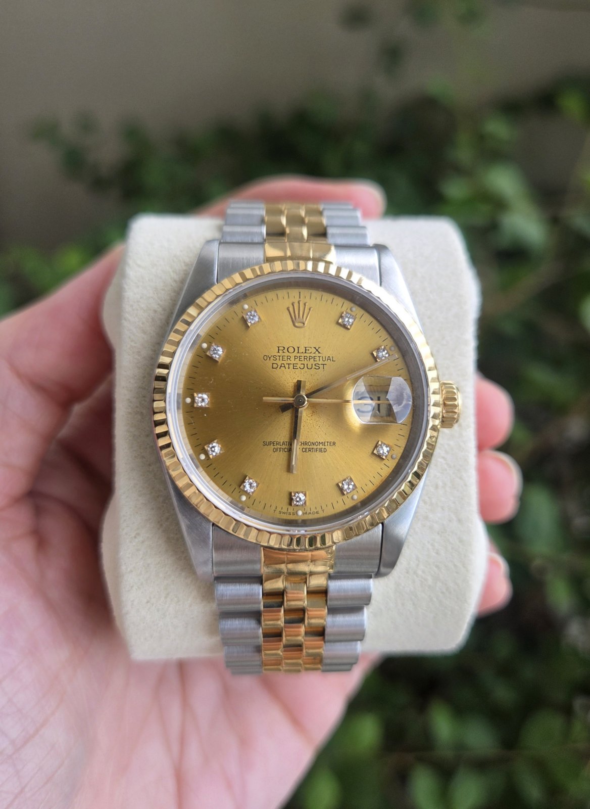 Rolex Datejust 36mm with Diamonds on Champagne dial Ref 16233