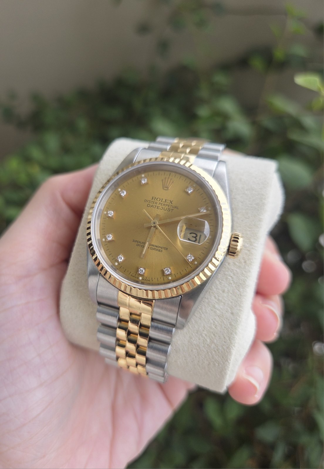 Rolex Datejust 36mm with Diamonds on Champagne dial Ref 16233