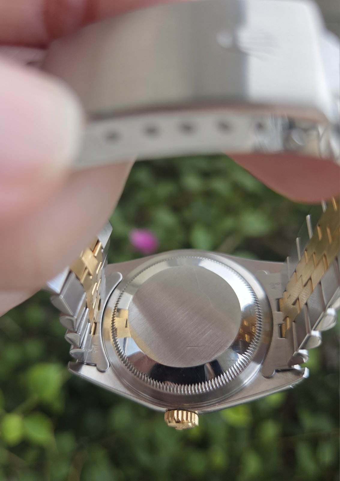 Rolex Datejust 36mm with Diamonds on Champagne dial Ref 16233