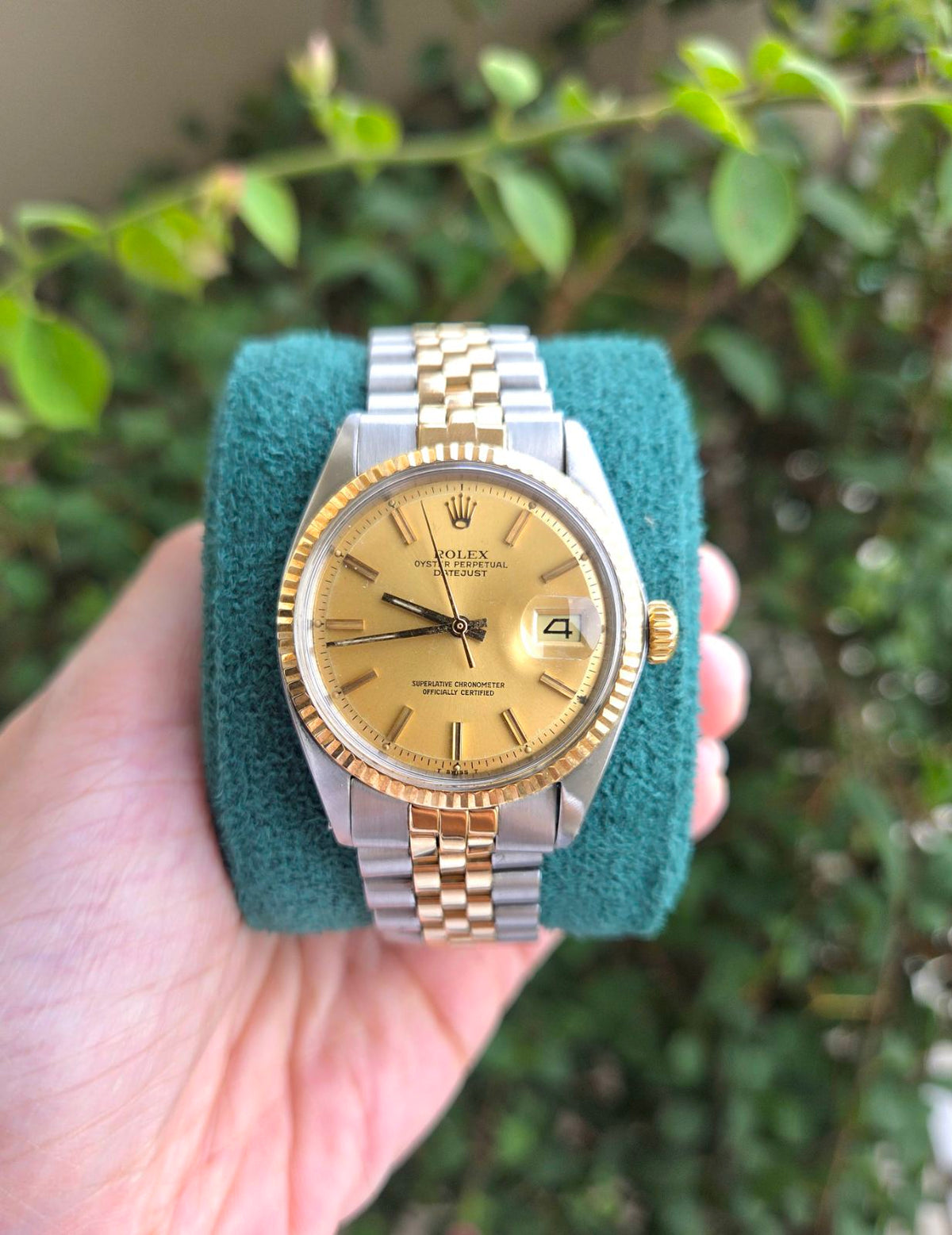Rolex Datejust 36mm Two tone Rare Pie Pan Gold Dial Ref 1601