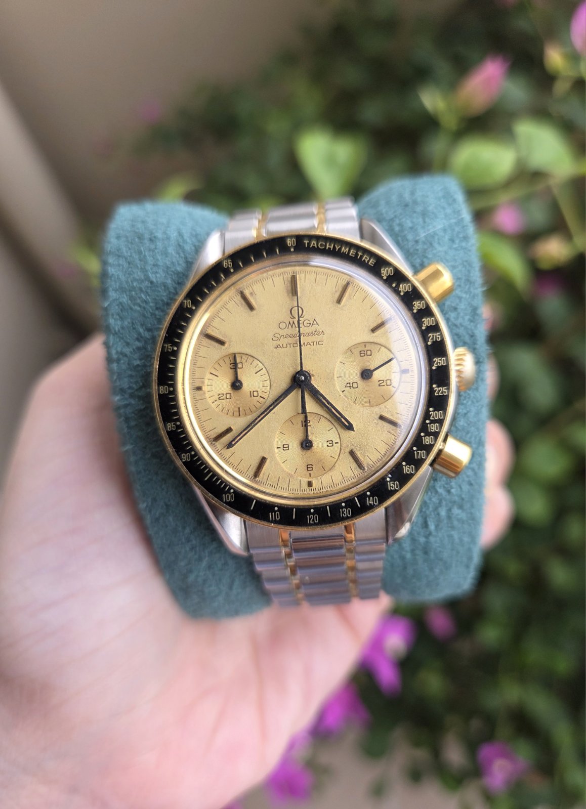 Omega Speedmaster Reduced 39mm 18K Champagne Dial Ref 3310.10