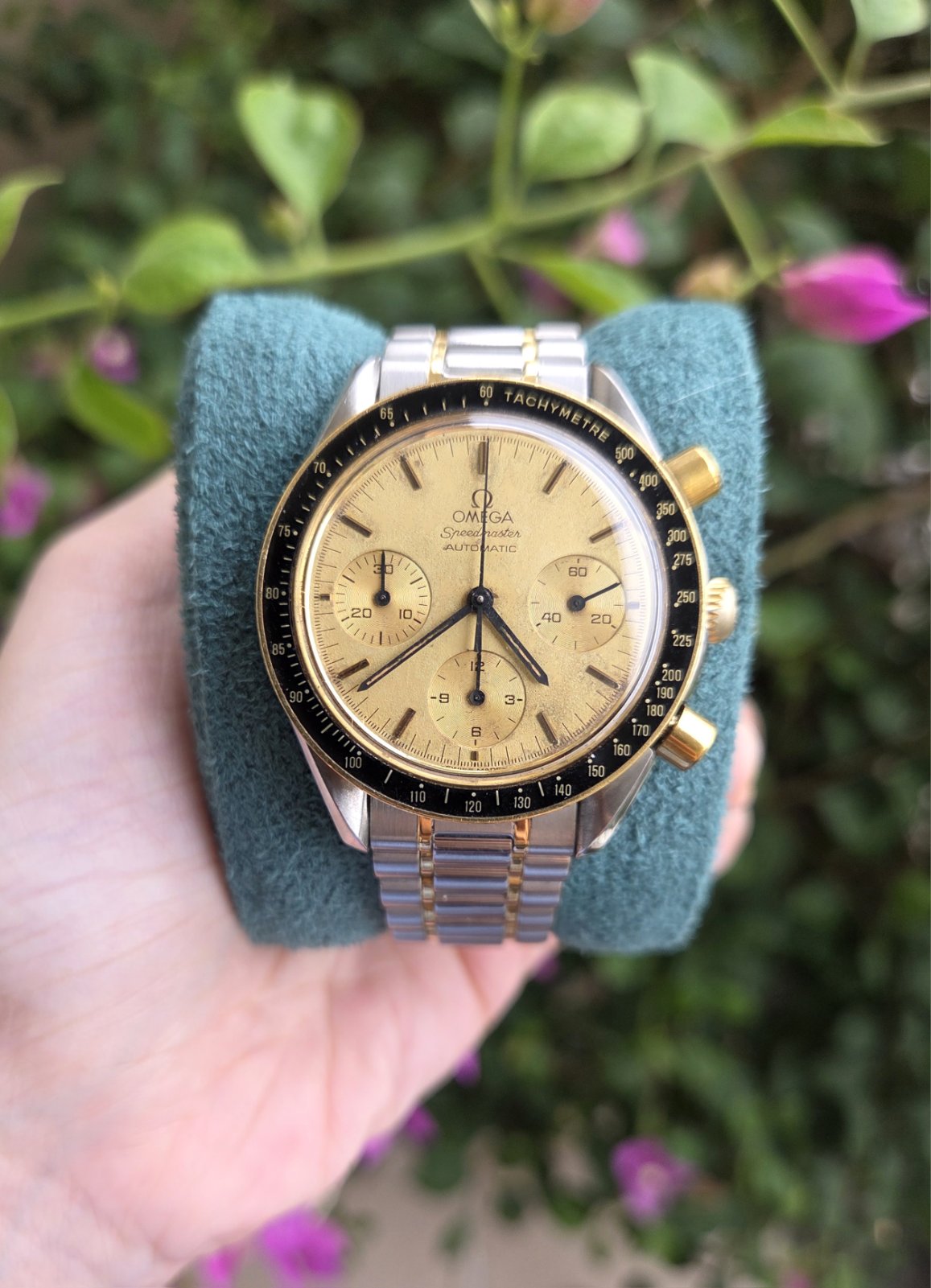 Omega Speedmaster Reduced 39mm 18K Champagne Dial Ref 3310.10